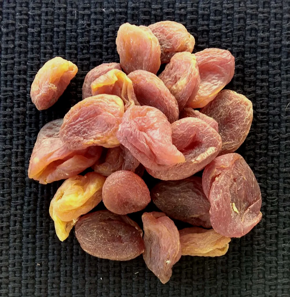 Apricot