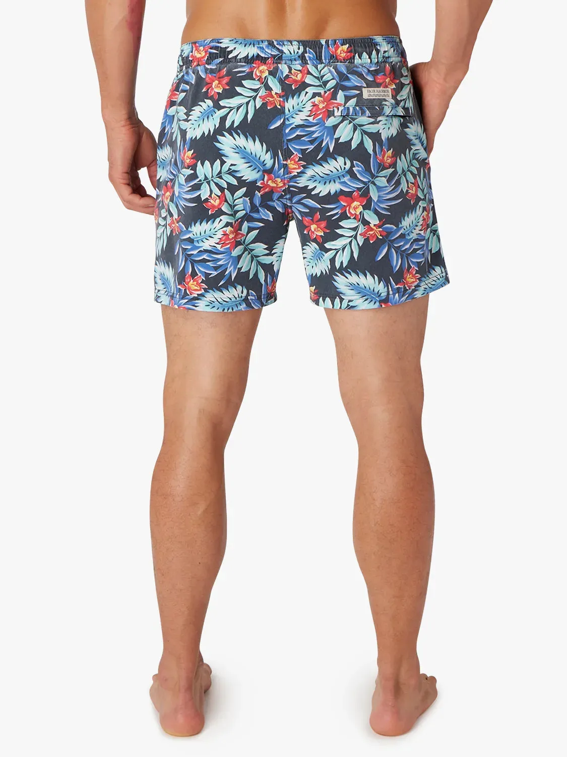 Bungalow Trunk | Midnight Palms