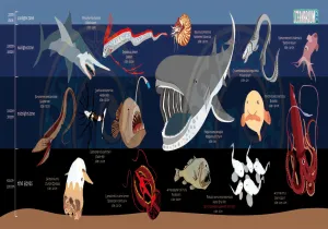 DEEPSEA MARINELIFE DRY TOWEL
