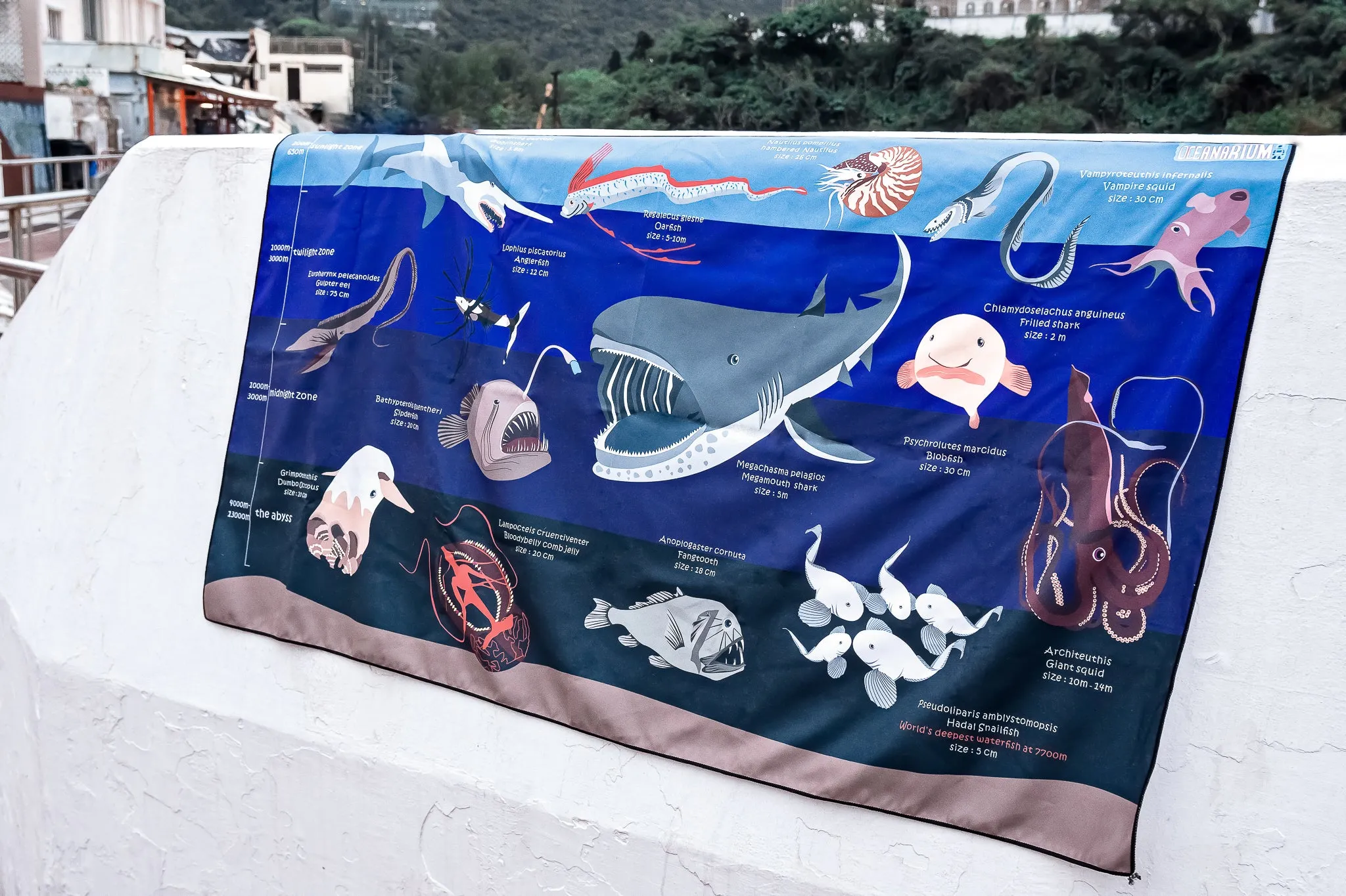 DEEPSEA MARINELIFE DRY TOWEL