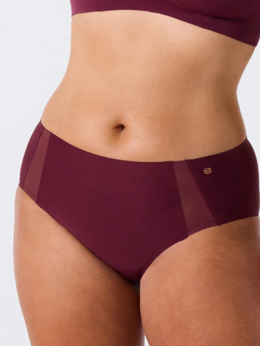 Evelyn & Bobbie Mesh Retro Bikini