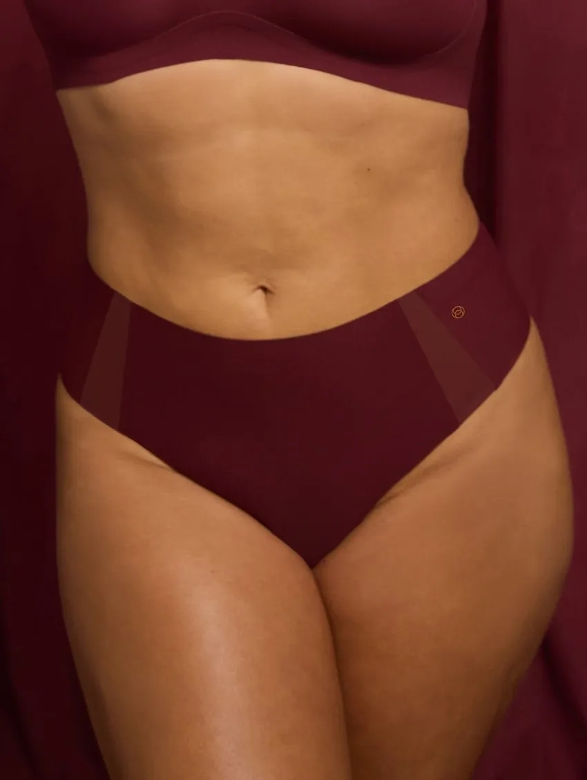 Evelyn & Bobbie Mesh Retro Bikini