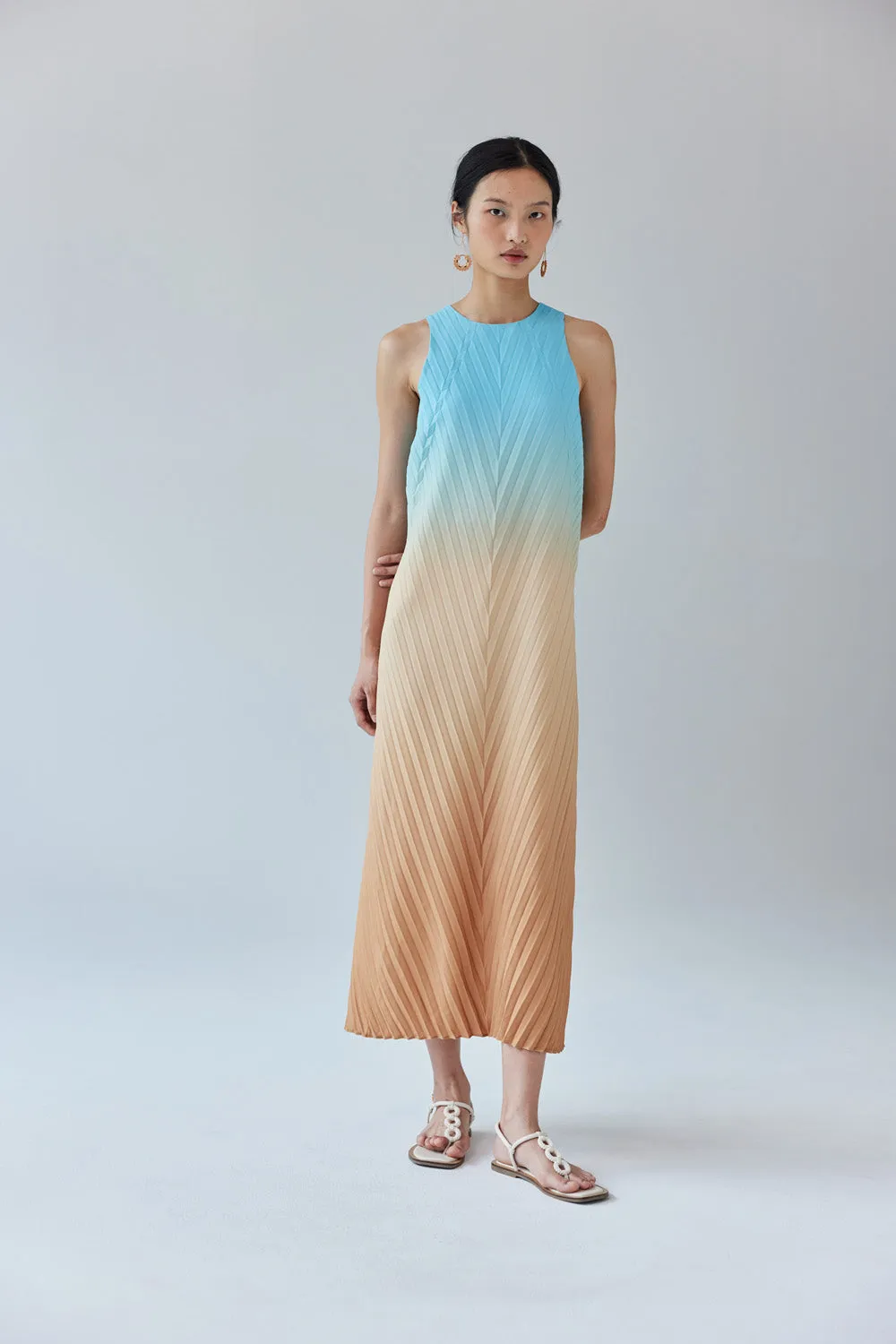 Ivy Gradient Dress