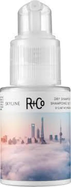 SKYLINE DRY SHAMPOO POWDER