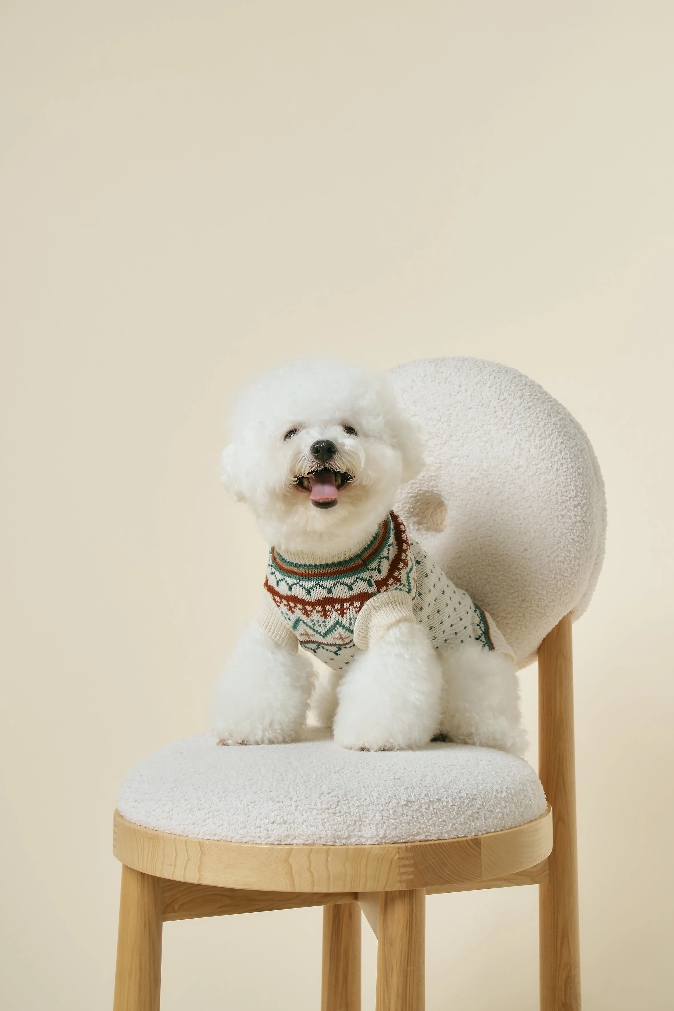 [STORETS X COSONNE] Fair Isle Retro Pet Sweater(for pet)