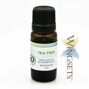 Tea Tree (Melaleuca alternifolia) - Organic