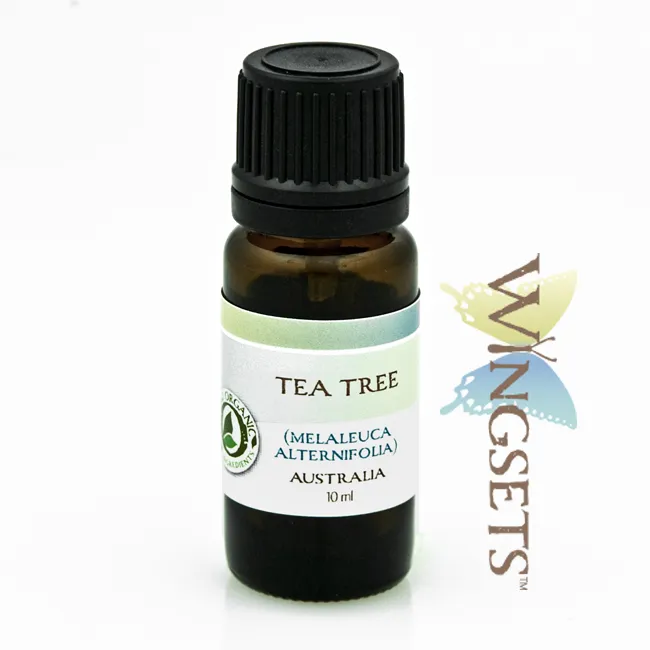 Tea Tree (Melaleuca alternifolia) - Organic